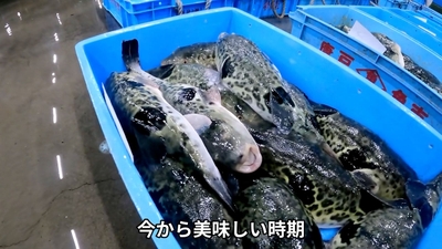 5grDC7uCd61dcLqg23tc.jpg?w=940&h=940