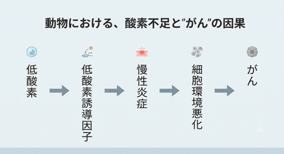 5hd5Expy4L4Ar4xcmQ4v.png?w=940&h=940