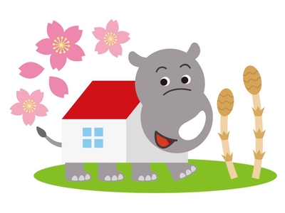 5hd99vms9iHrotNw5bMp.jpg?w=940&h=940