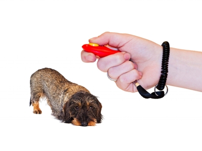 5hxiOILWV9HEfZdEKBSI.jpeg?w=940&h=940