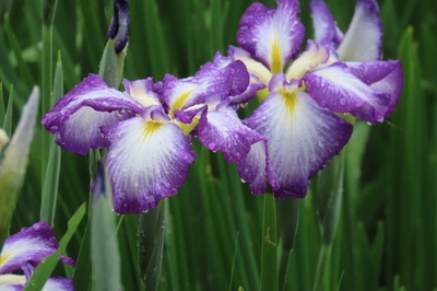 5jgTqFrEUzZCwRfMIZXW.jpg?w=940&h=940