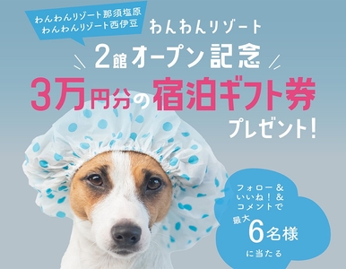 5jo7xEH0w7MpMKWwkyt7.jpg?w=940&h=940