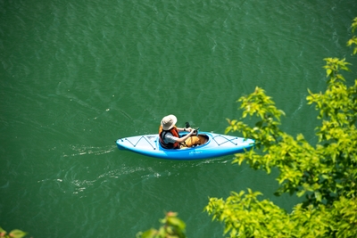 5jzq37Kwyi0WrofNIorH.jpg?w=940&h=940