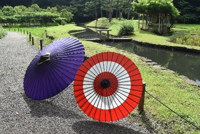 和傘デザイン例