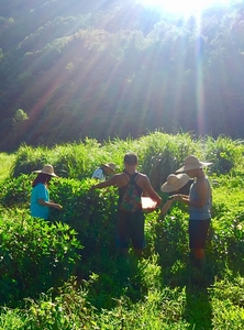 5krDKKsj2h6cLdkVNHPV.jpg?w=940&h=940