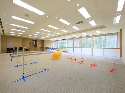 室内ドッグラン