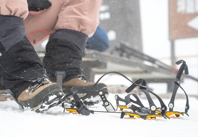 5lDpoEgRG4Q4QXp7pmd8.jpg?w=940&h=940