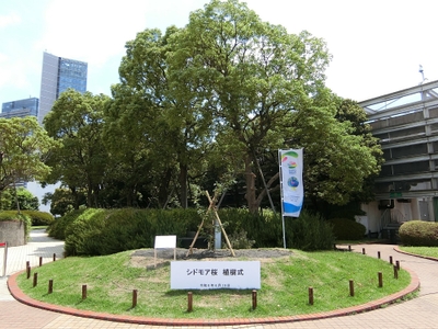 「ジョイナスの森彫刻公園」に植樹されたシドモア桜
