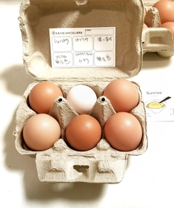たまごはどれでも6個で800円（税込」