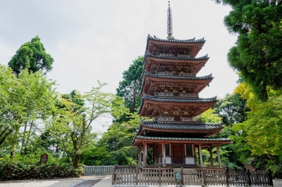 ▲海住山寺　国宝「五重塔」【1・2コース】