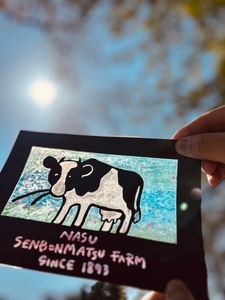 5mmWIOqrqnXUSz4RvEXG.jpg?w=940&h=940