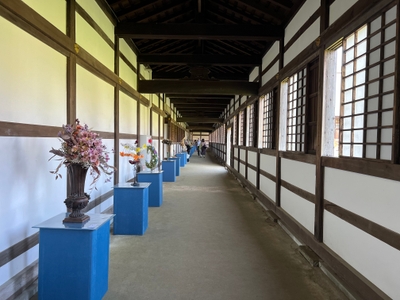 5nMca18z0jzZwQaaEHjm.jpg?w=940&h=940