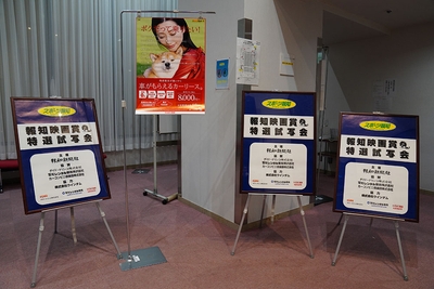 5nX1A3NuaiYlREUjemc9.jpg?w=940&h=940