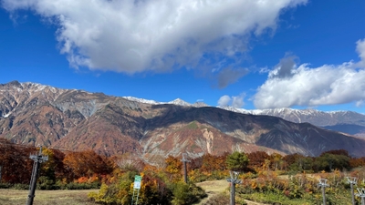 5ocO3jRwmecVcs3SfkvU.jpg?w=940&h=940