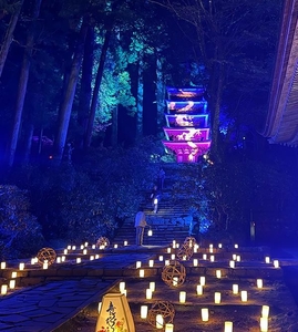 5ot56uflxebnTRVNoa1z.jpg?w=940&h=940