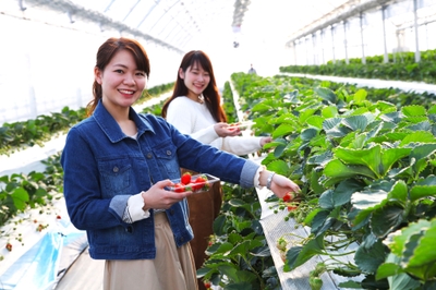 5pf8vtdV05BMr9JngN4y.jpg?w=940&h=940