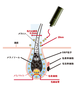 5pmIZAsglhqvjhUTNT3F.png?w=940&h=940