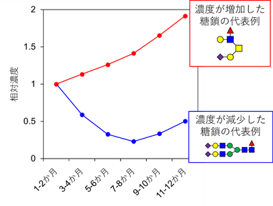 図1. 出産後日数に伴う糖たんぱく糖鎖濃度の変化パターン