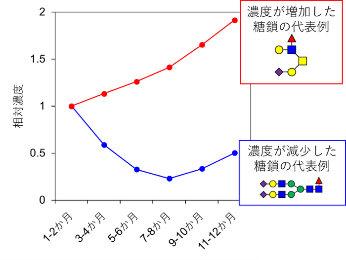 図1. 出産後日数に伴う糖たんぱく糖鎖濃度の変化パターン