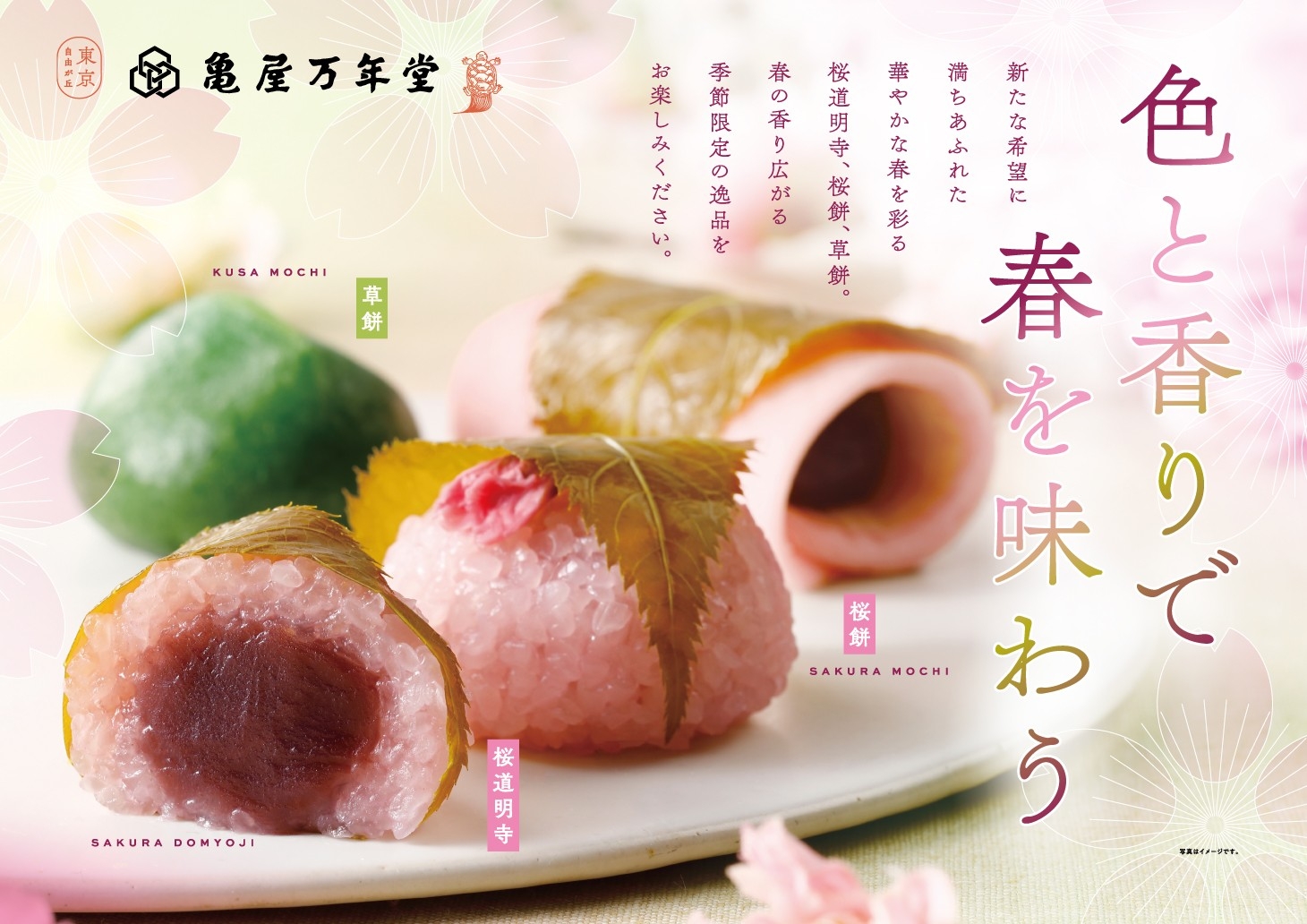 【3月3日は桃の節句】色と香りで春を味わう季節の生菓子