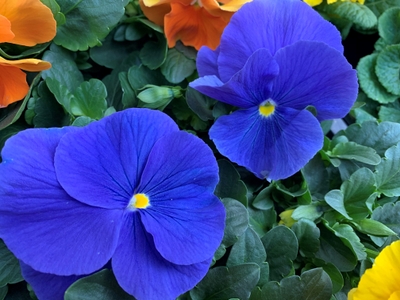 5uEQZQjxN7k6gsvlYL6R.jpg?w=940&h=940