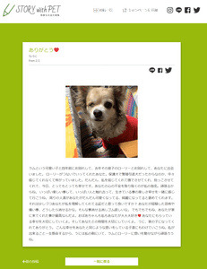 5ueWKn9P1B7SXgQhT4As.png?w=940&h=940