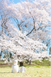 _2556g_撮影場所：砧公園