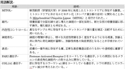 5wZhFRxvrgNbSsEMK0EU.jpg?w=940&h=940