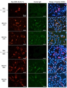 5xepjNssqRLN8v2M8BF9.jpg?w=940&h=940