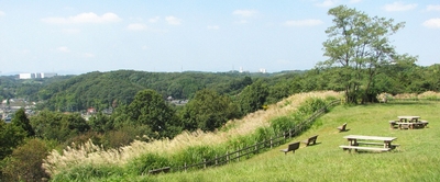 5y86clzGxl6nsdkbSPy7.jpg?w=940&h=940