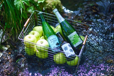 5ygSfwSYvSWgKj0ANXD0.jpg?w=940&h=940