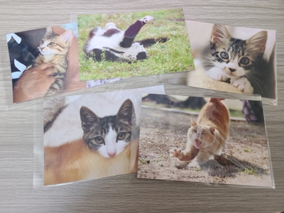 60VSVdj5kzSbhQCMMt8h.jpeg?w=940&h=940