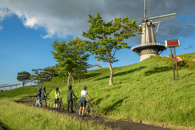 61CXrHcNGRAyeDAk1ClF.png?w=940&h=940