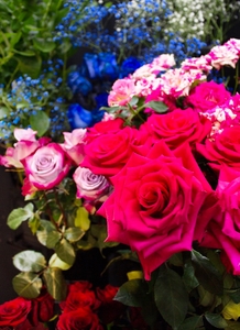 61v1eIjCPDnFlJZPsOD7.jpg?w=940&h=940