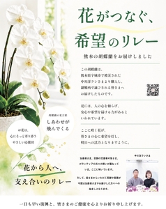 62Ikzm0ixZwsmkIGod5e.jpg?w=940&h=940