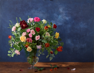 63WWzI9aFrQwZvITG0kW.jpg?w=940&h=940