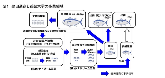 日本品質の持続可能な完全養殖魚を世界へ ~完全養殖「近大マグロ」、海外へ輸出開始~