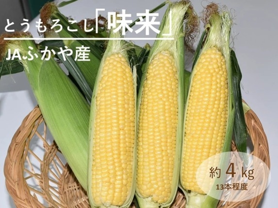 甘み際立つ埼玉県産とうもろこし「味来(みらい)」
産地直送通販サイト「ＪＡタウン」で予約販売中！
