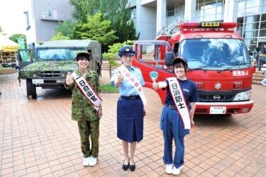 66sknWmiZ3OefI4xtKKX.jpg?w=940&h=940