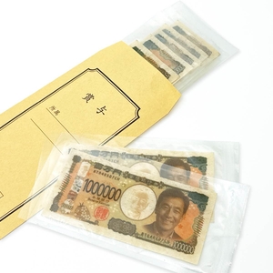 専用封筒に入れることも可能