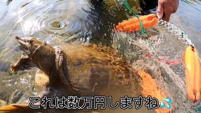 67x3A7WGHWDLG6TLcdo4.jpg?w=940&h=940