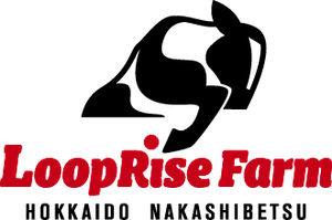 株式会社ループライズ