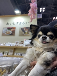 2025年出展時の参加者