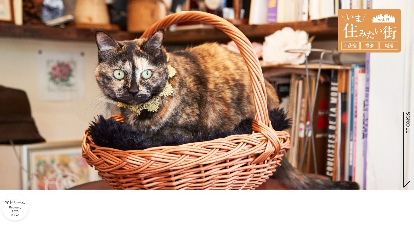 「マドリーム」Vol.48:いま住みたい街