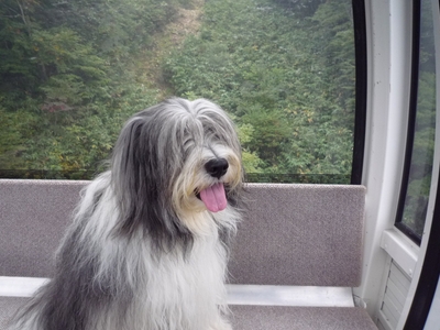 693T3UZC6gqKELKKoTFg.jpg?w=940&h=940