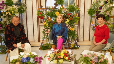 69JFVsryWWqxzOIq4OR1.jpg?w=940&h=940