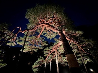 69gyTT2UBiWCGw09hnHR.jpg?w=940&h=940