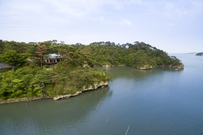 6AG7QmnfoifSbsYheKq7.jpg?w=940&h=940