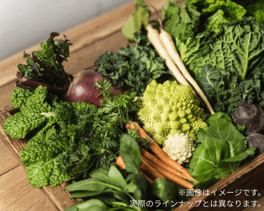 6BIEK94ch80F7NmLWtUo.png?w=940&h=940