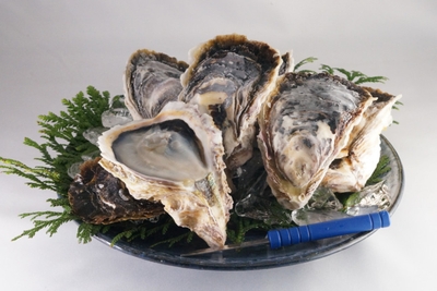 6BJBIYSGfZCJDWr50Map.jpg?w=940&h=940